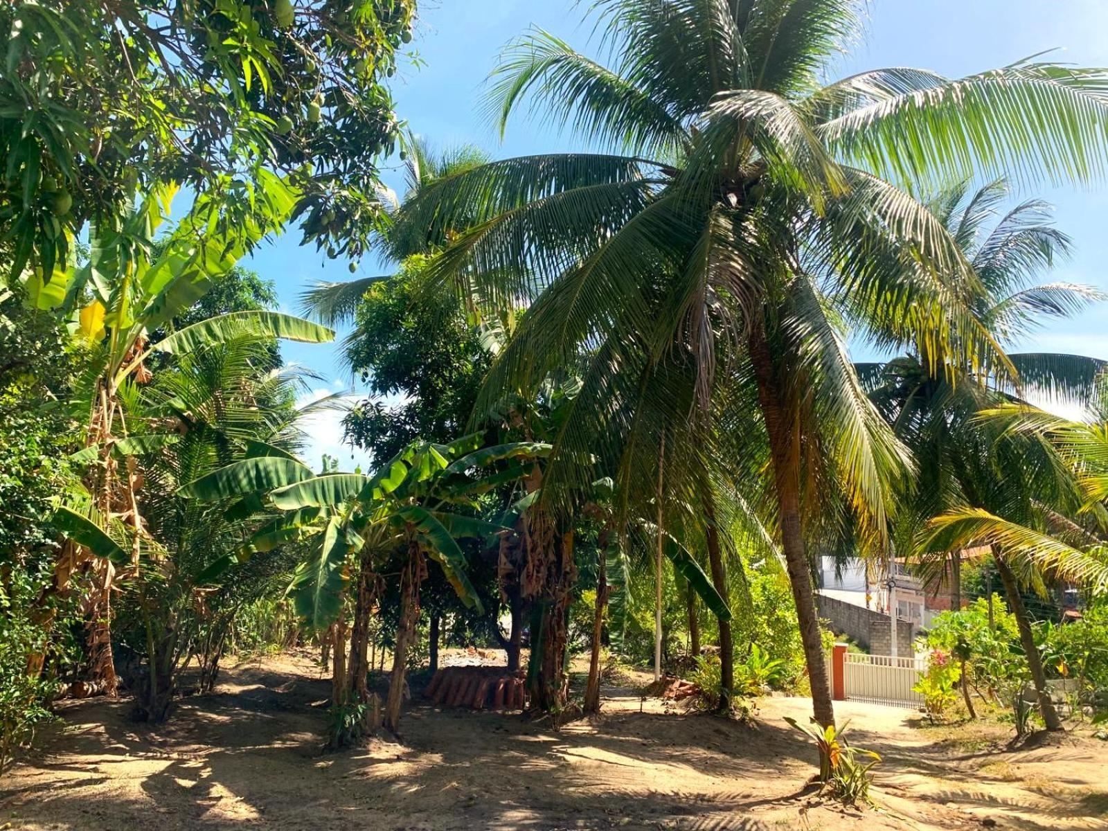 Jacarecica Haus Otel Maceio Dış mekan fotoğraf